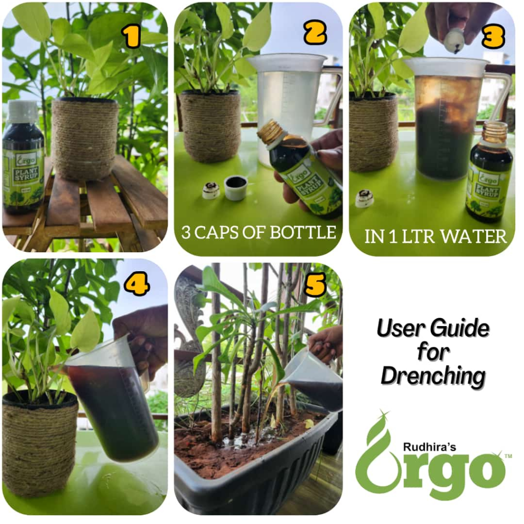 Orgo plant Syrup Guide