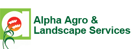 alpha logo